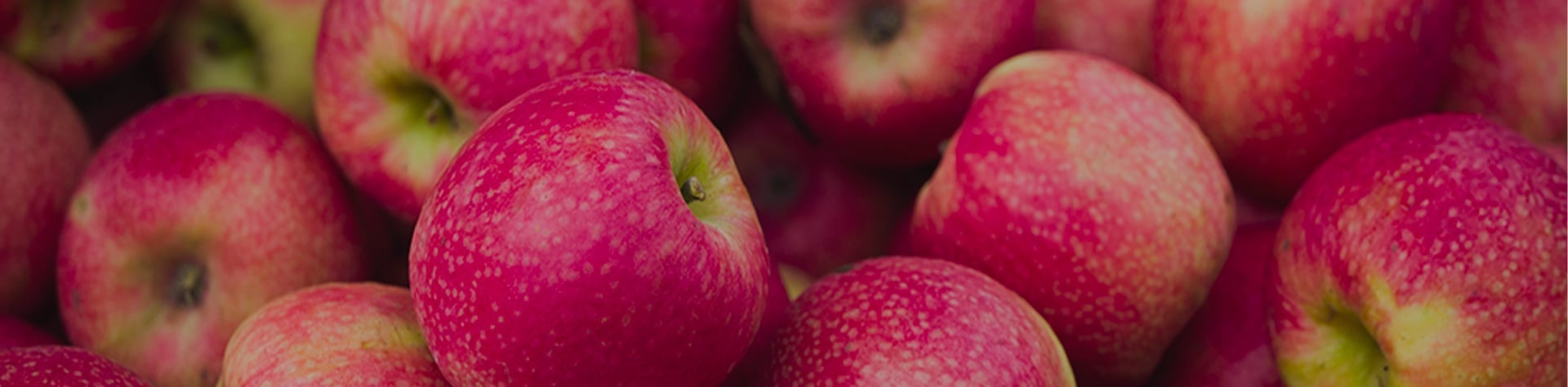 Les pommes